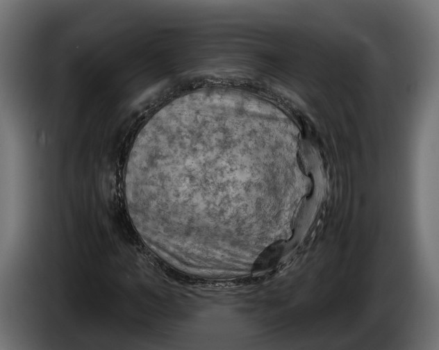 X0000086080966200704132059