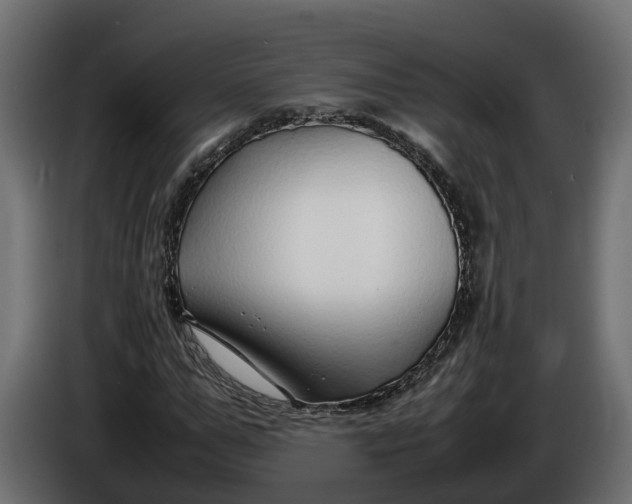 X0000086080967200704132059