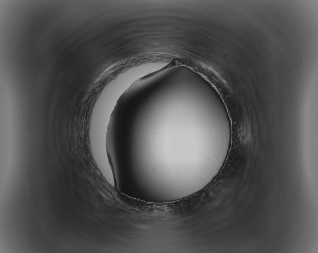 X0000086080968200704132059