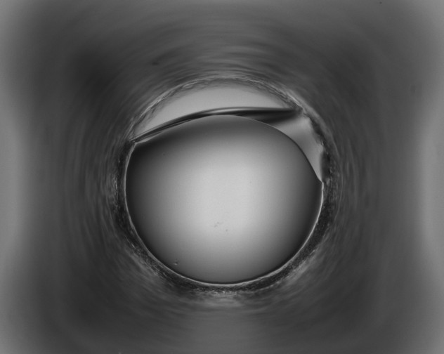 X0000086080969200704132059