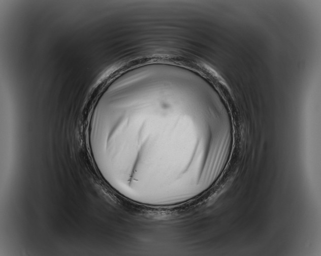 X0000086080970200704132059