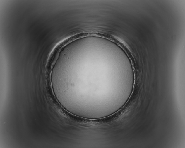 X0000086080971200704132059