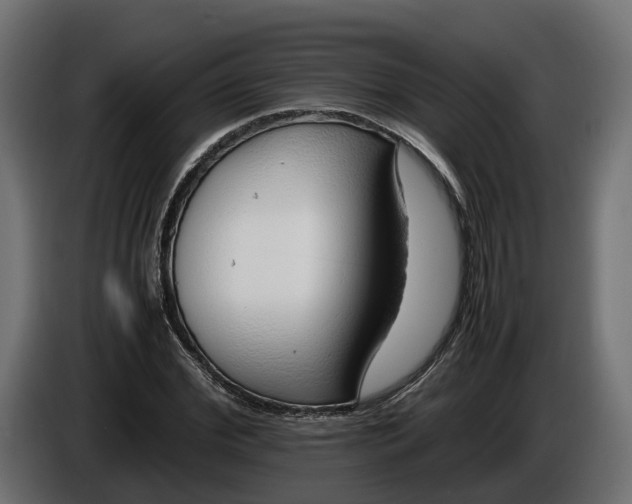 X0000086080972200704132059