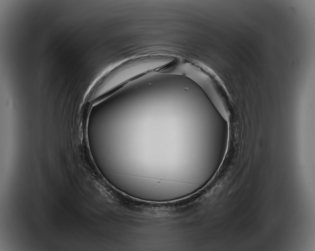 X0000086080973200704132059