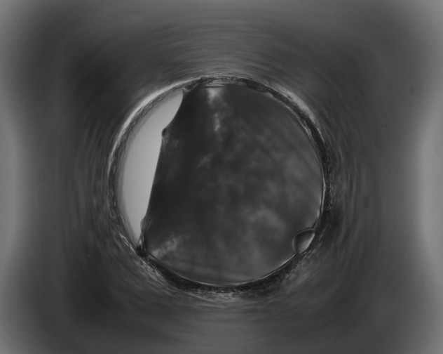 X0000086080975200704132059