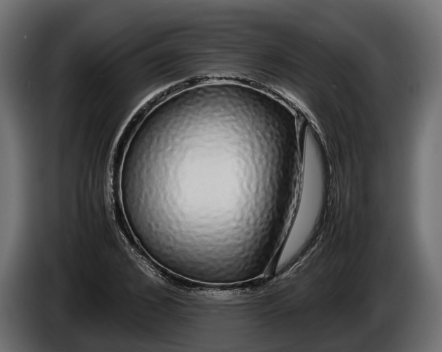 X0000086080976200704132059