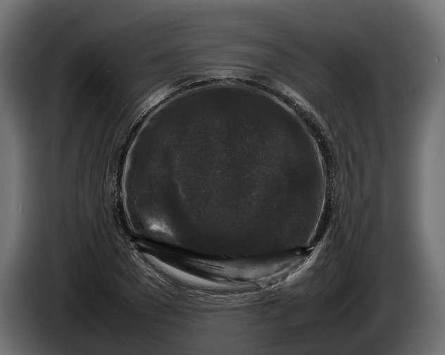 X0000086080977200704132059