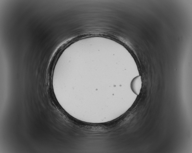 X0000086080979200704132059