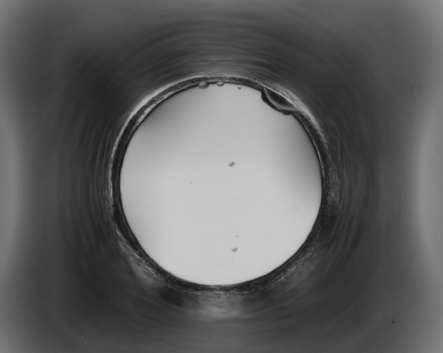 X0000086080980200704132059