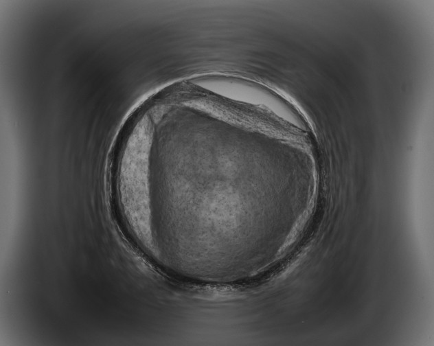 X0000086080983200704132059