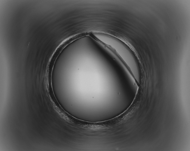 X0000086080984200704132059