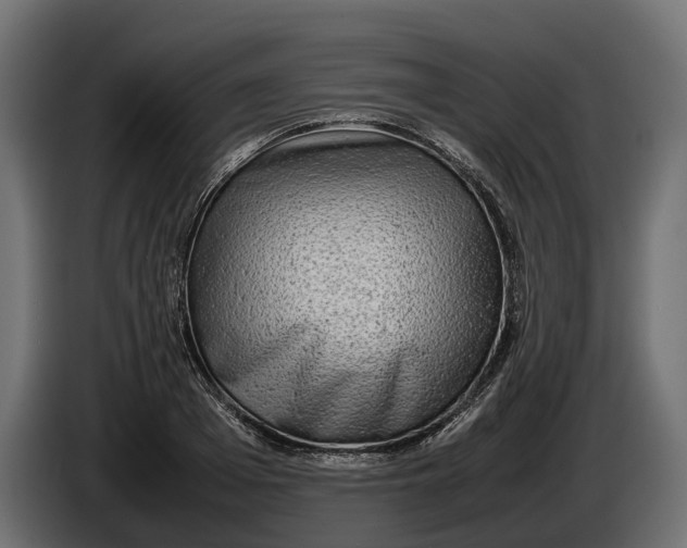 X0000086080985200704132059