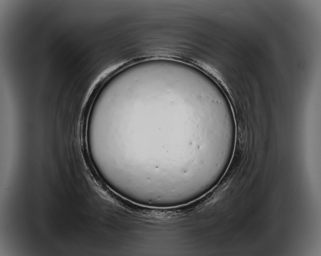 X0000086080987200704132059