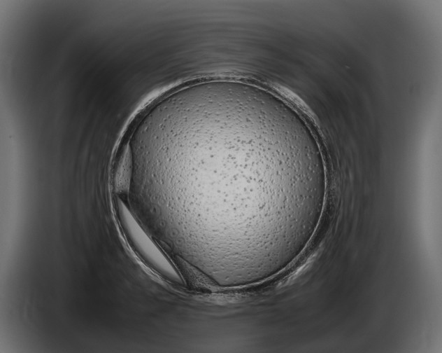 X0000086080989200704132059