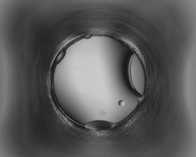 X0000086080992200704132058