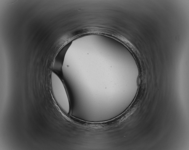 X0000086080993200704132058