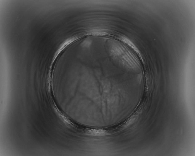 X0000086080994200704132058