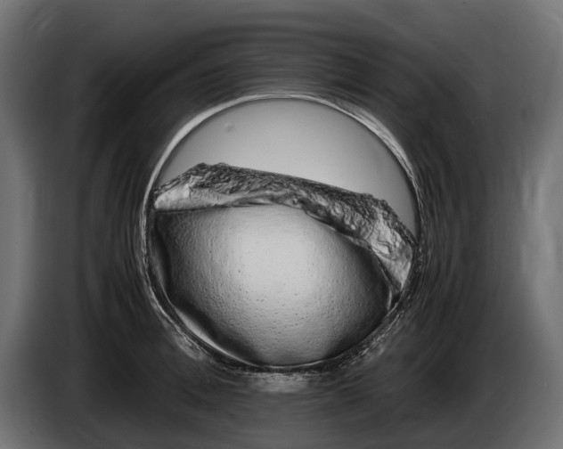 X0000086080996200704132058