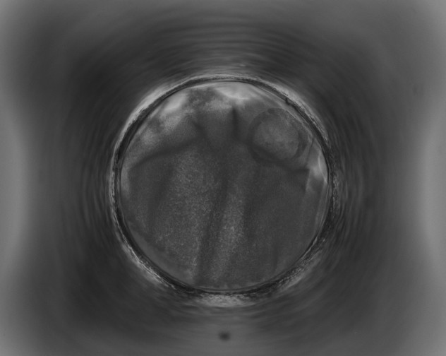 X0000086080998200704132058