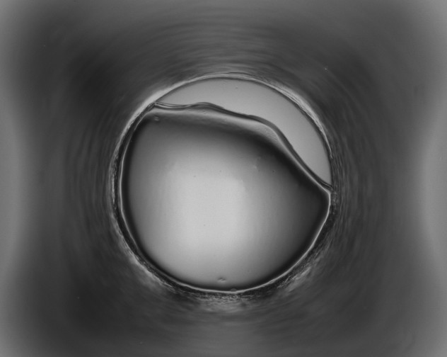 X0000086080999200704132058