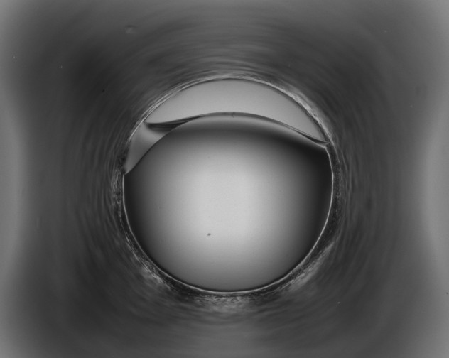 X0000086081001200704132058