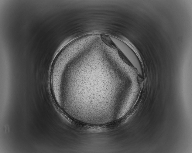 X0000086081002200704132058