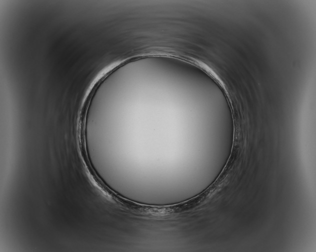 X0000086081003200704132058