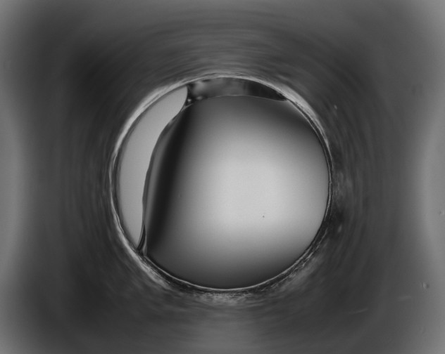 X0000086081005200704132058