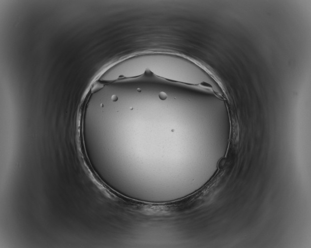 X0000086081006200704132058