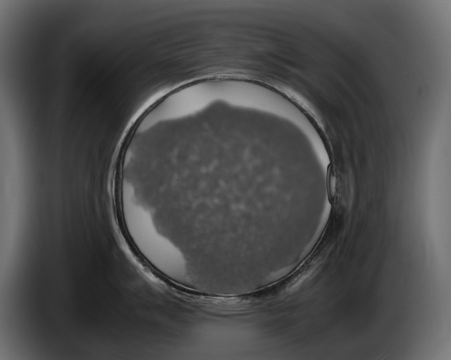 X0000086081007200704132058