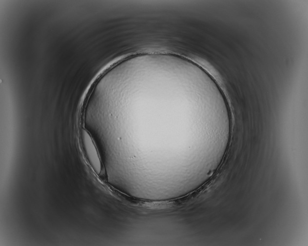 X0000086081008200704132058