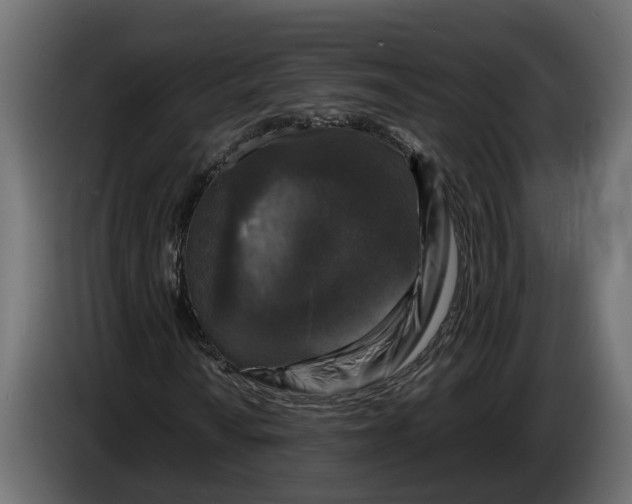 X0000086081010200704132058