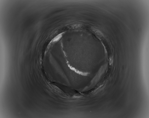 X0000086081011200704132058