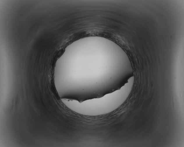 X0000086081012200704132058