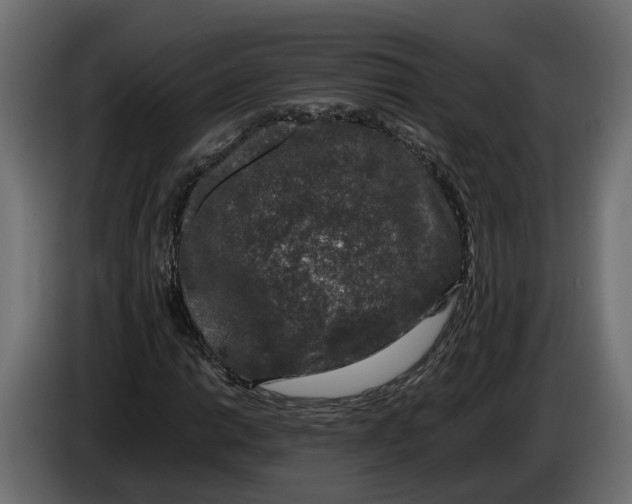 X0000086081014200704132058