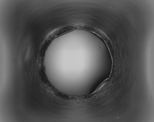 X0000086081016200704132058