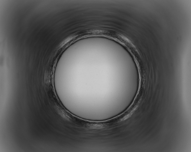 X0000086081017200704132058