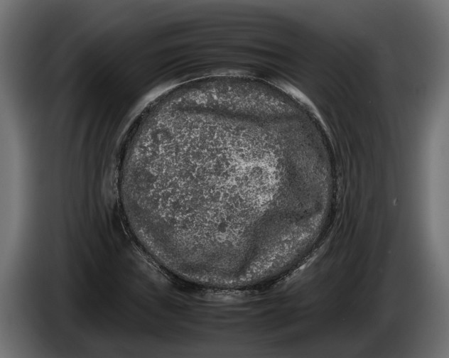 X0000086081019200704132058