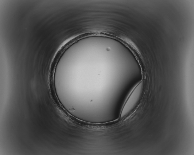 X0000086081020200704132058