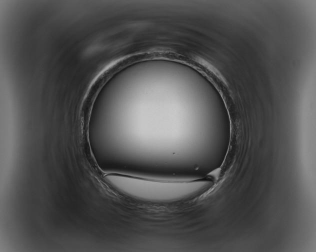 X0000086081021200704132058