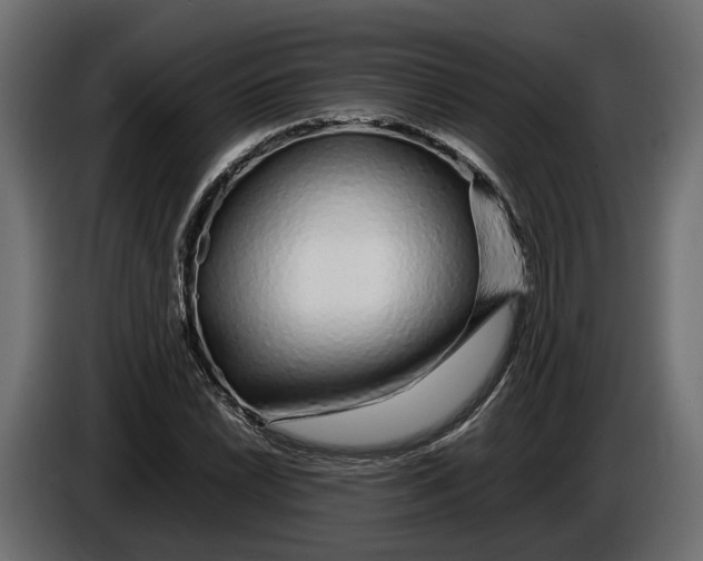 X0000086081022200704132058