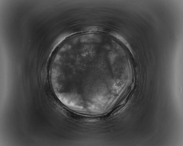 X0000086081023200704132058