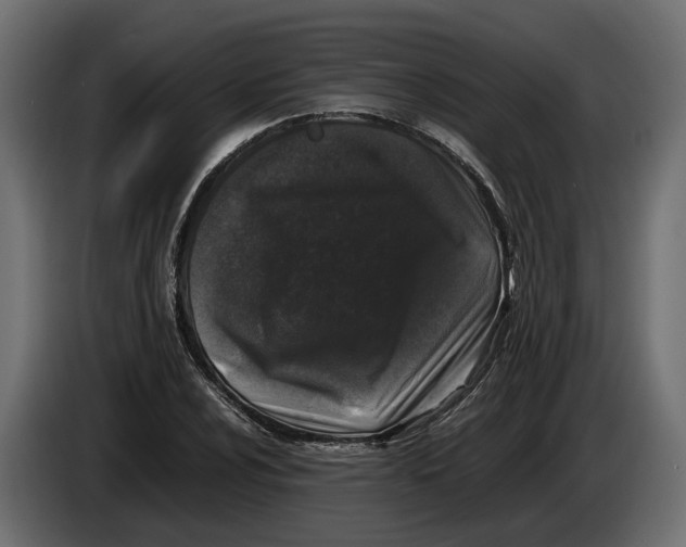 X0000086081024200704132058