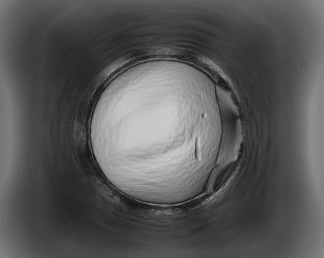 X0000086081025200704132058