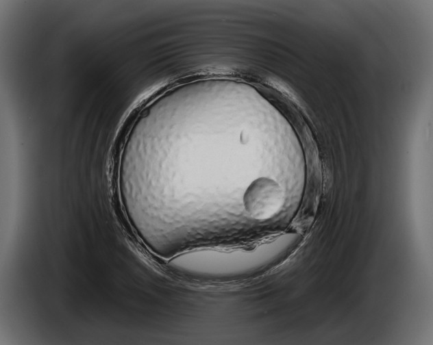 X0000086081026200704132058