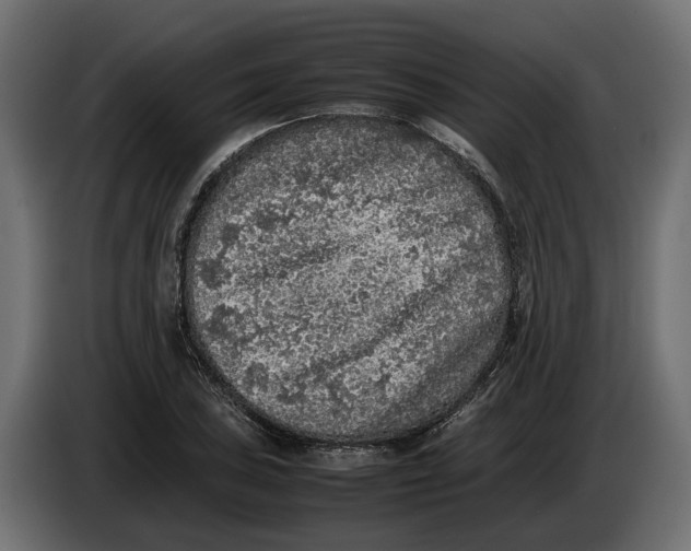 X0000086081027200704132058