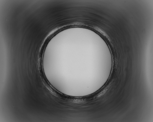 X0000086081029200704132058