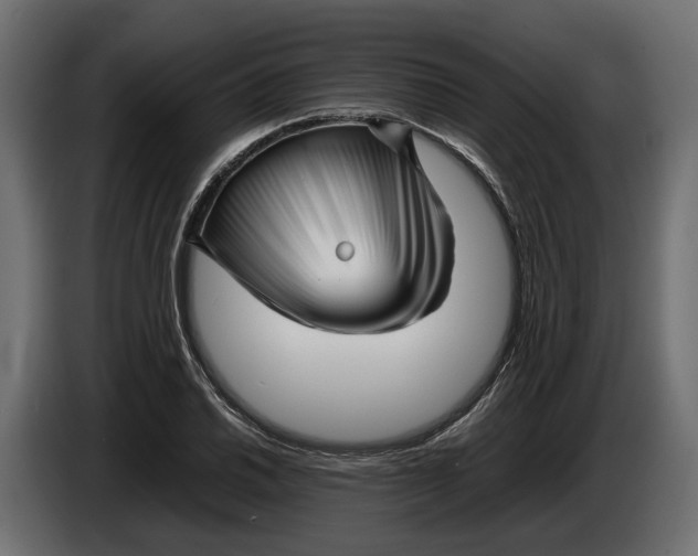 X0000086081030200704132058