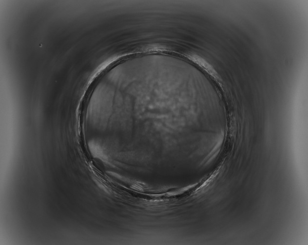 X0000086081031200704132058