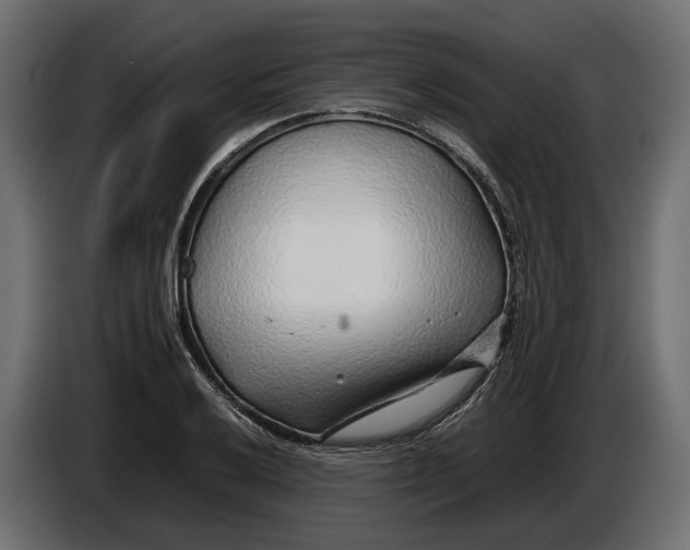 X0000086081032200704132058